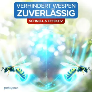 wespenspray gegen wespen