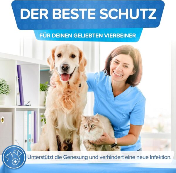 Bild einer Tierklinik mit einem Hund und einer Katze, die frei von Giardien sind.