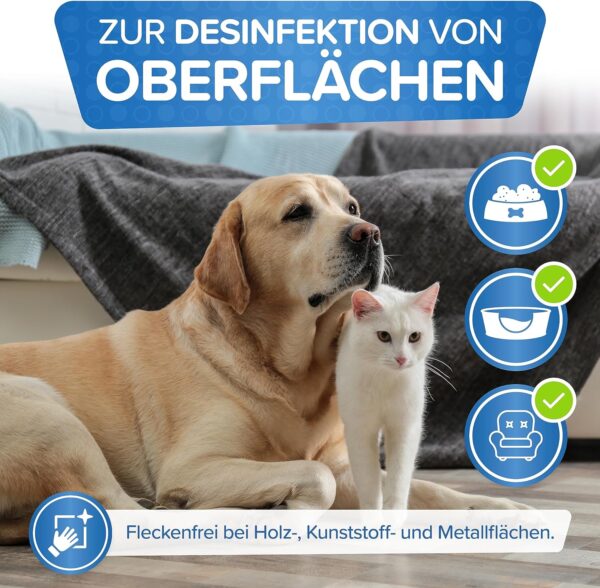 Bild von Hund und Katze in einem Raum ohne Giardien