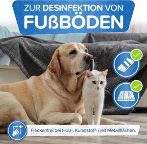 Bild von Hund und Katze in einem Raum ohne Giardien