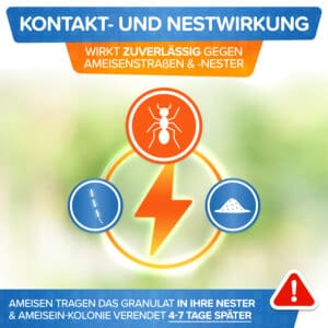 Wirkung des Patronus Ameisen-Power-Granulats