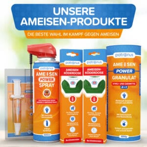 Patronus Ameisen Produkte