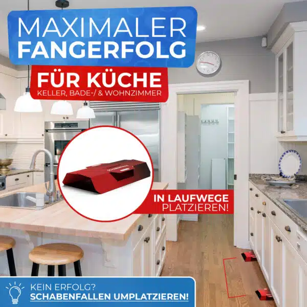 Bild von der Küche und Schabenfalle mit dem Hinweis