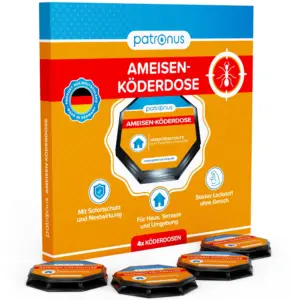 effektive ameisen köderdose