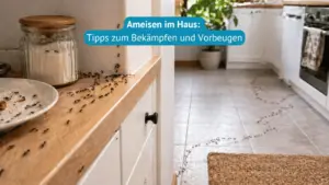 ameisen im Haus bekämpfen