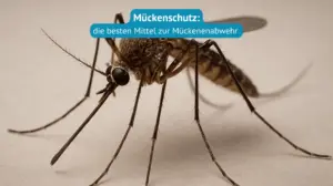 mückenschutz