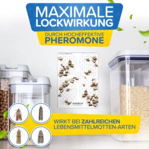 Wirkung der Lebensmittelmotten Falle