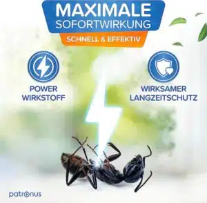 Sofortwirkung- Bild von Ameise und Blitz