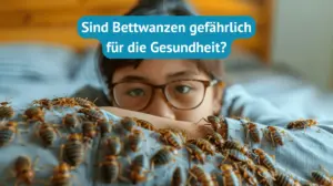 sind bettwanzen gefährlich für die gesundheit