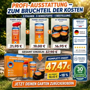 ameisen im garten