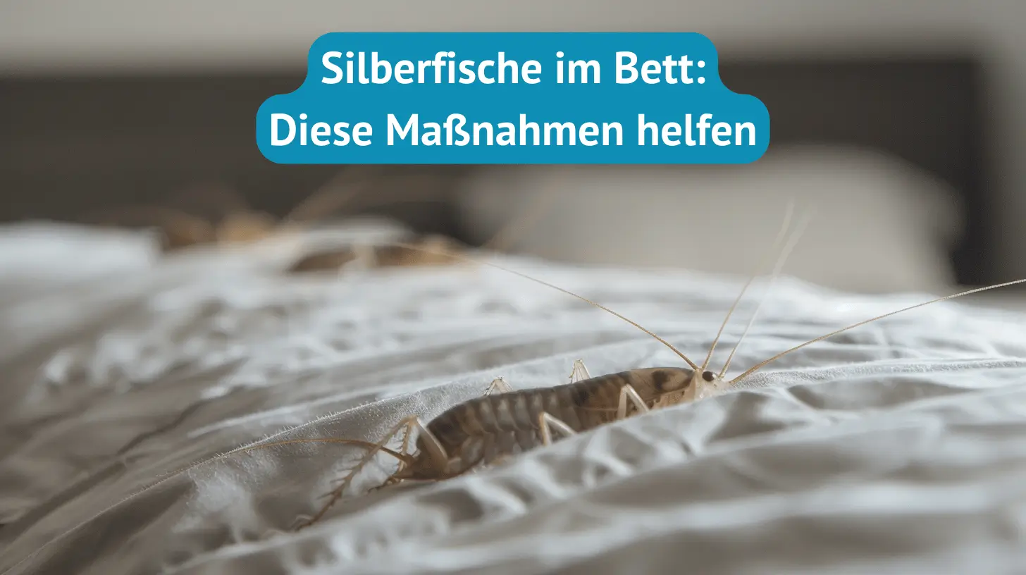 Silberfische im Bett (Titel)