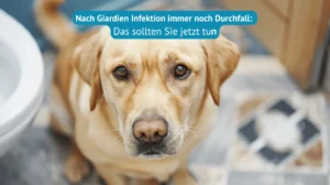 Nach Giardien Behandlung immer noch Durchfall