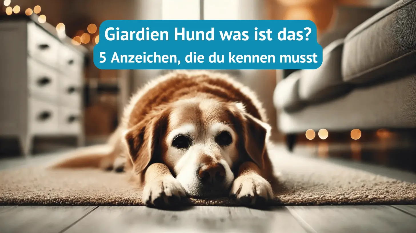 Giardien Hund was ist das?