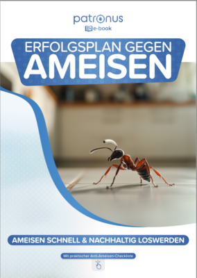 E-Book: Erfolgsplan gegen Ameisen nutzen!