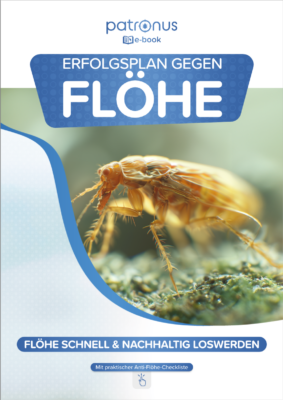 E-Book: Erfolgsplan gegen Flöhe nutzen!