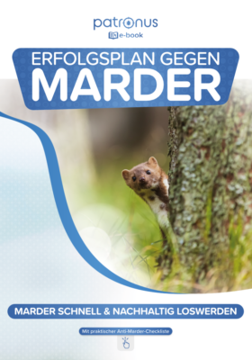 E-Book: Erfolgsplan gegen Marder nutzen!