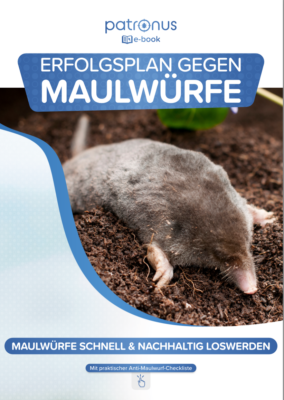E-Book: Erfolgsplan gegen Maulwürfe nutzen!