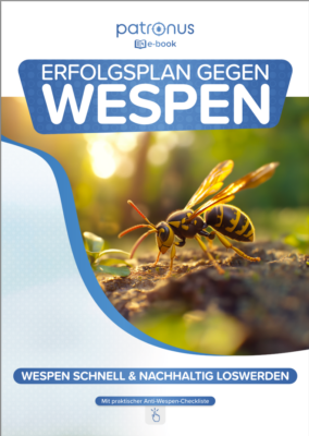 E-Book: Erfolgsplan gegen Wespen nutzen!