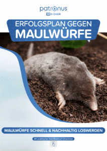 Maulwurf