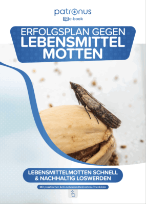 Lebensmittelmotten