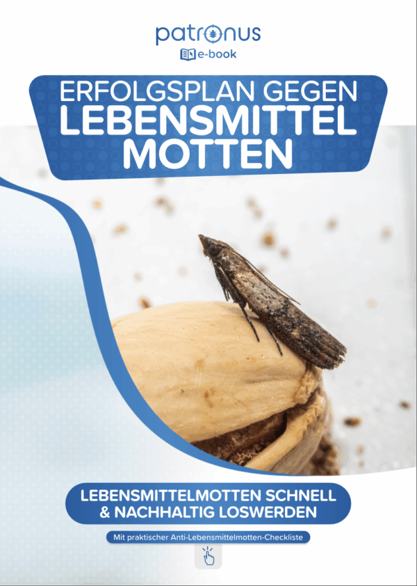 Lebensmittelmotten