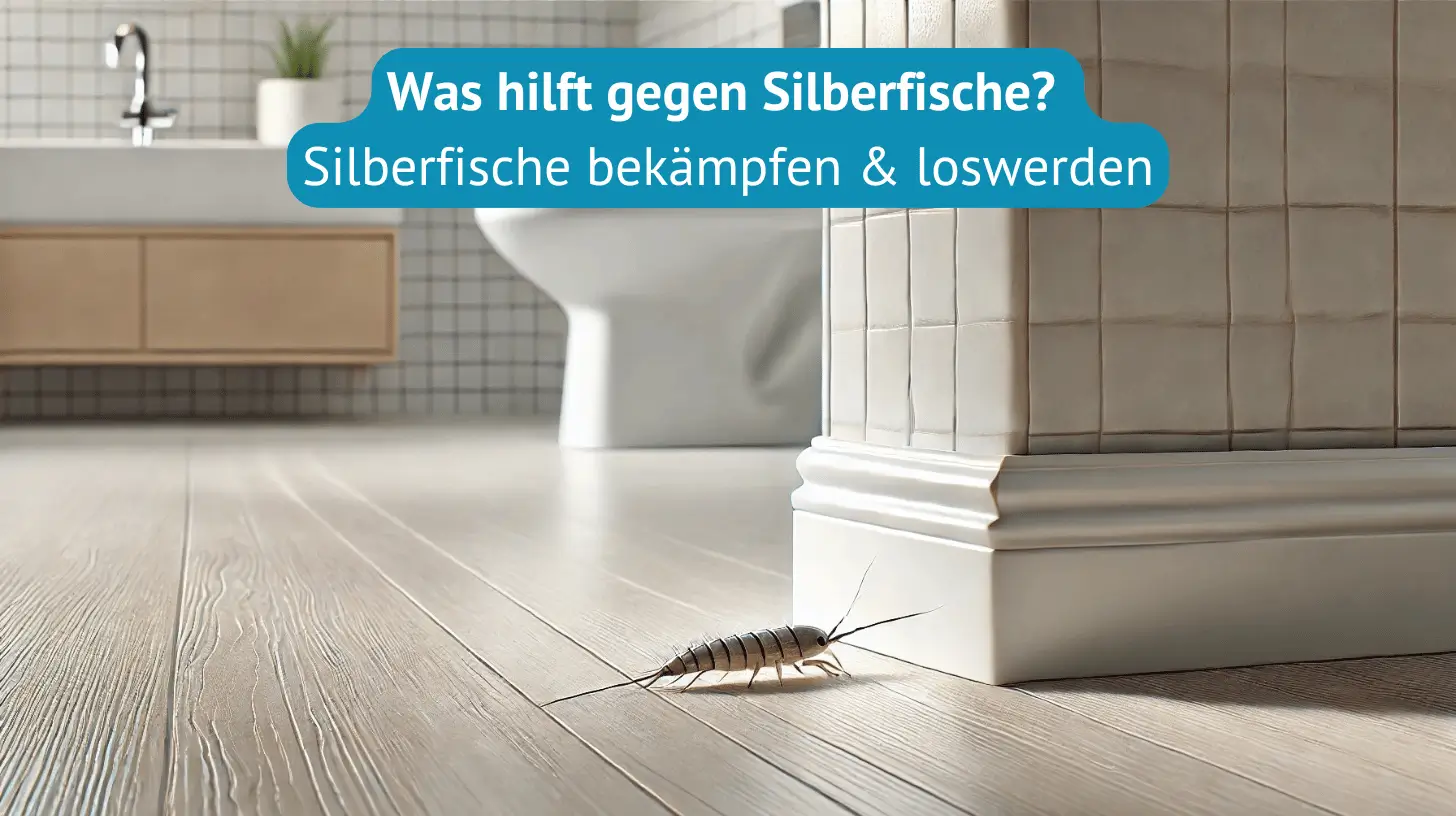 Silberfische bekämpfen und loswerden