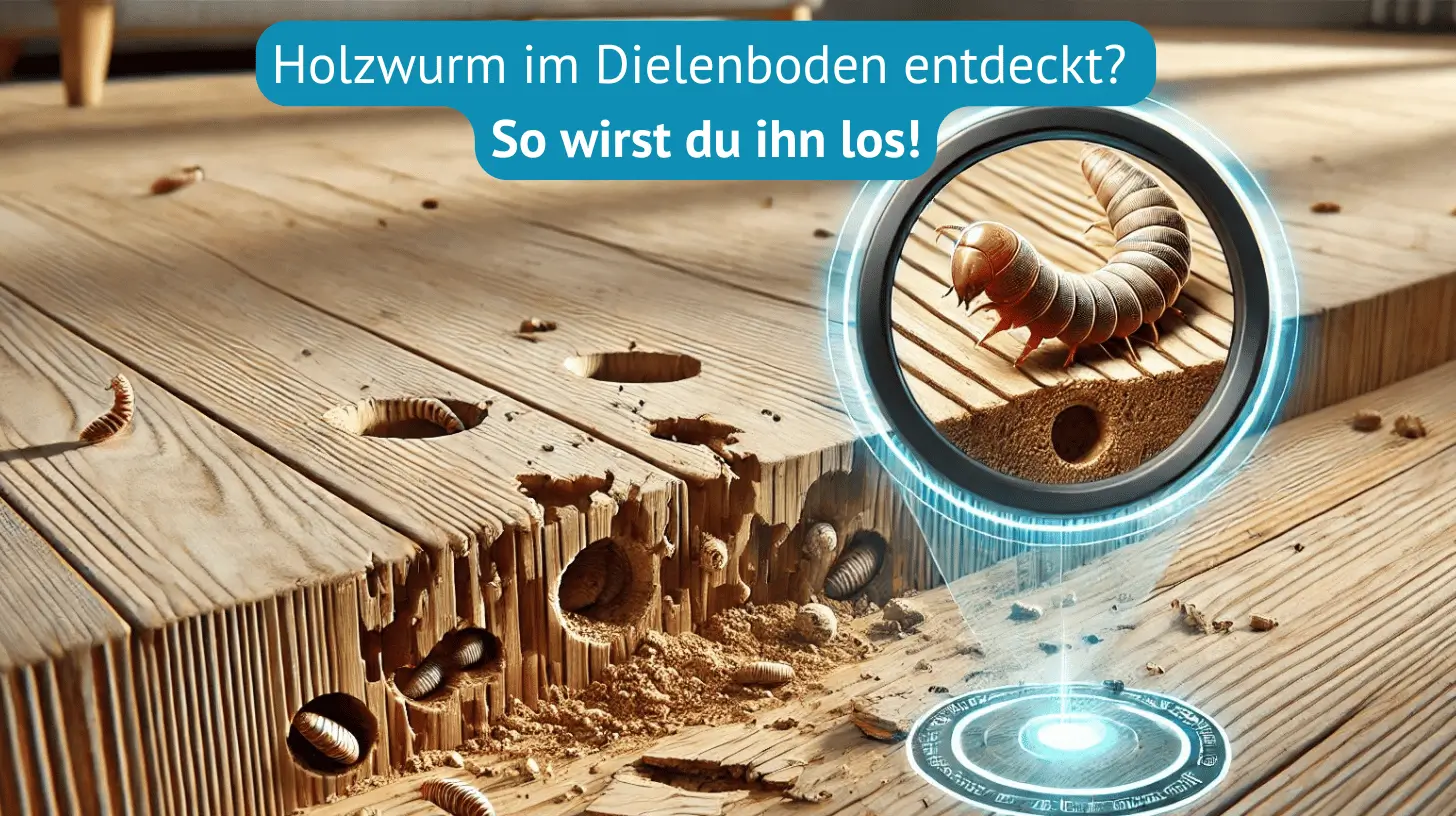 holzwurm im dielenboden