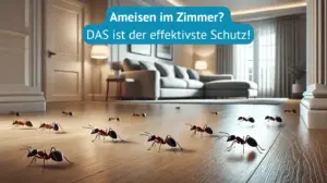 Ameisen im Zimmer