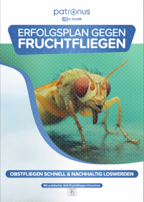 E-Book: Erfolgsplan gegen Fruchtfliegen nutzen!