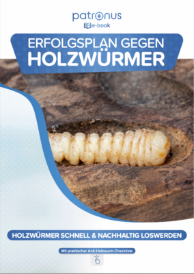 E-Book: Erfolgsplan gegen Holzwurm nutzen!