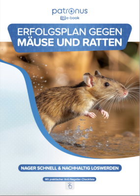 E-Book: Erfolgsplan gegen Mäuse & Ratten nutzen!