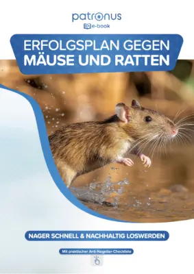 E-Book: Erfolgsplan gegen Mäuse & Ratten nutzen!