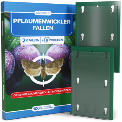 Pflaumenwicklerfalle - 2 Stück