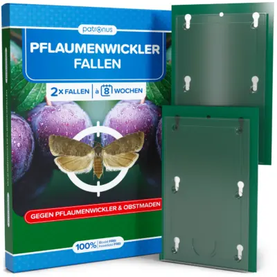 Pflaumenwicklerfalle - 2 Stück
