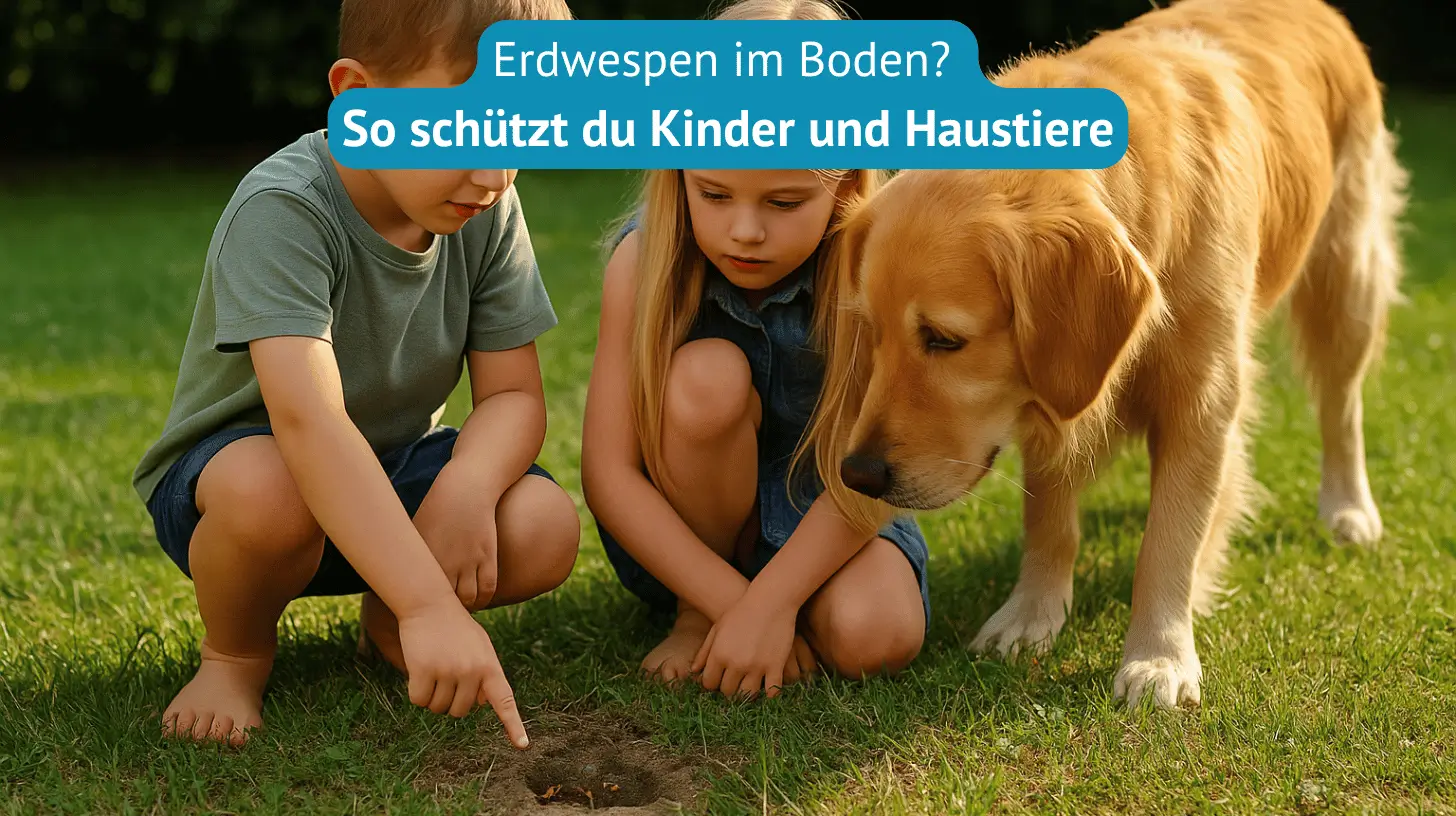 erdwespen im boden so schützt du kinder und haustiere