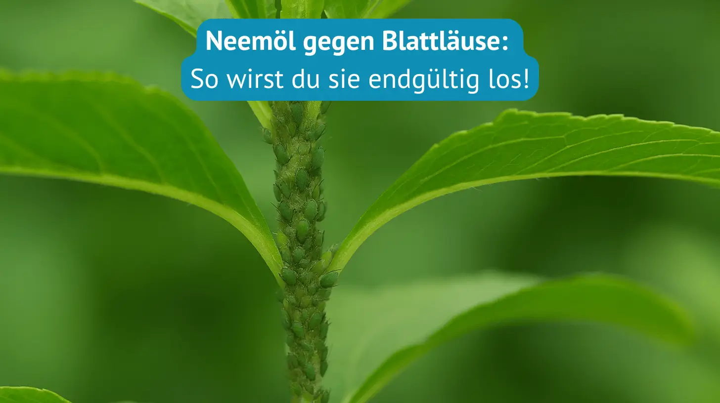 neemöl gegen Blattläuse