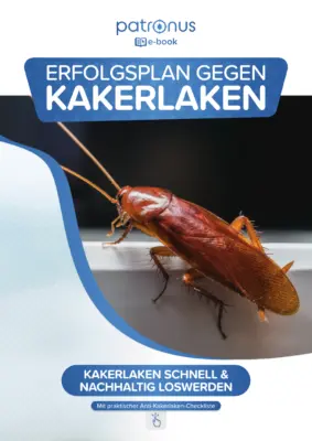 E-Book: Erfolgsplan gegen Kakerlaken nutzen!