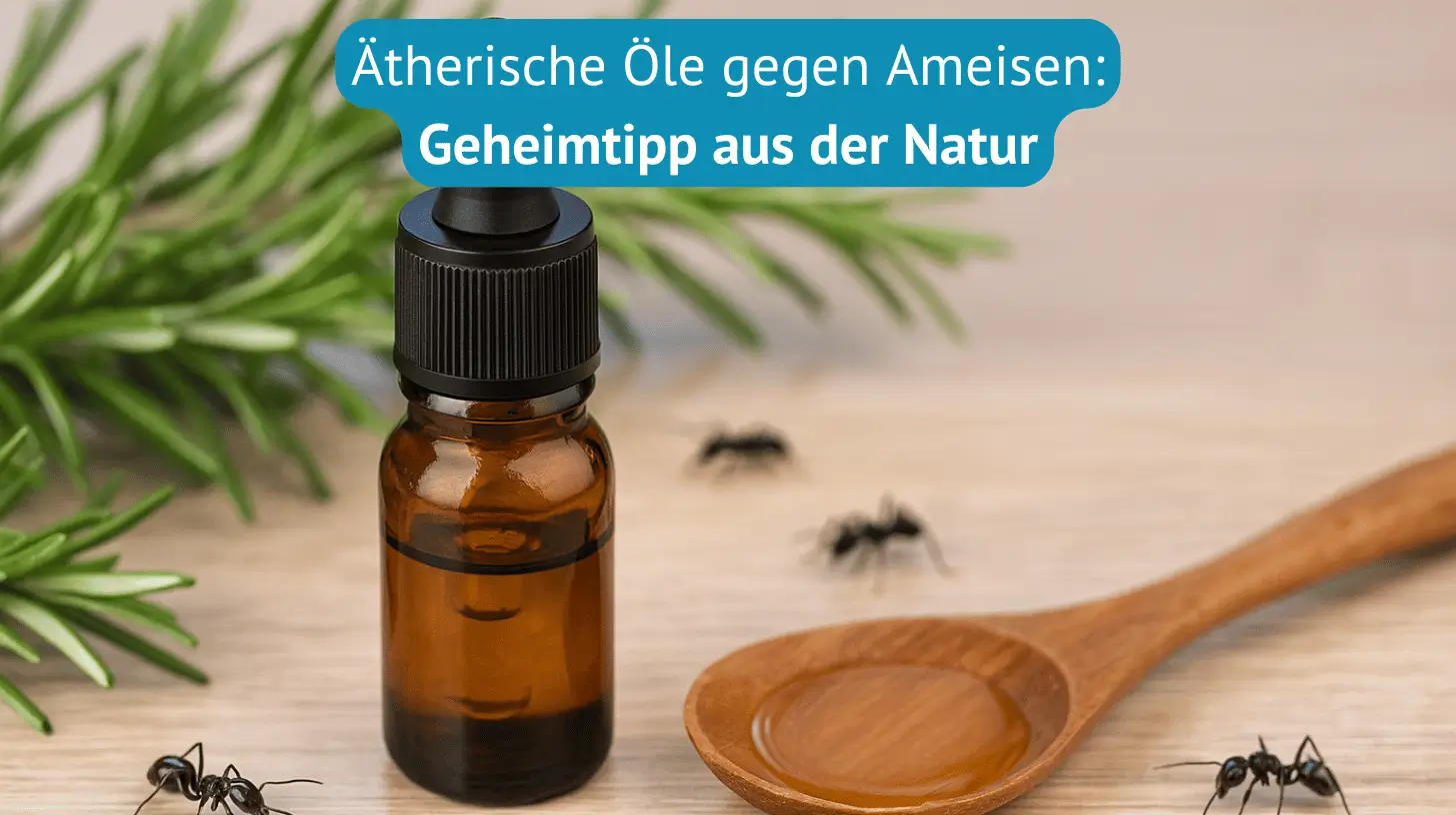 ätherische öle gegen ameisen