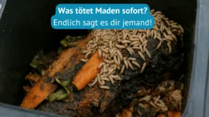 was tötet maden sofort