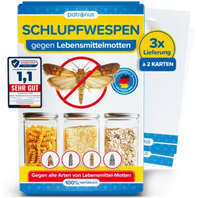 3x2 Schlupfwespen gegen Lebensmittelmotten