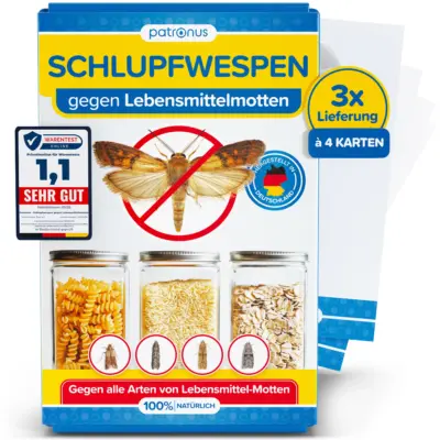 3x4 Schlupfwespen gegen Lebensmittelmotten
