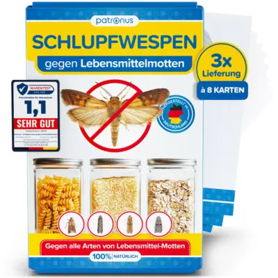 3x8 Schlupfwespen gegen Lebensmittelmotten