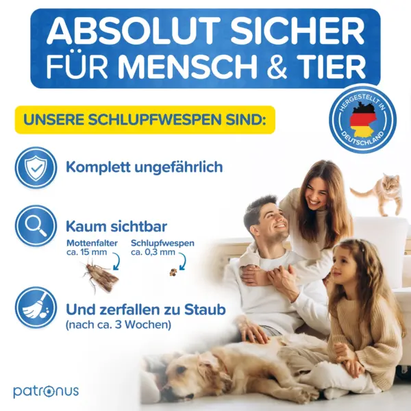 Gegenüberstellung Schlupfwespen und Motten