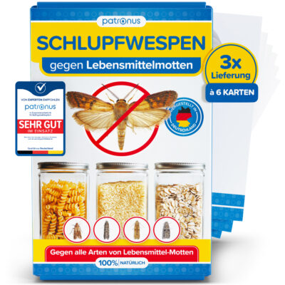 Schlupfwespen gegen Lebensmittelmotten - 3x6 Karten