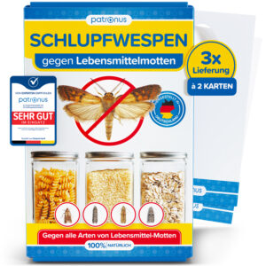 Schlupfwespen gegen Lebensmittelmotten