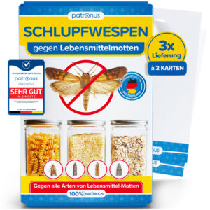 Schlupfwespen gegen Lebensmittelmotten