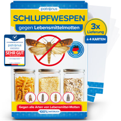Schlupfwespen gegen Lebensmittelmotten - 3x4 Karten