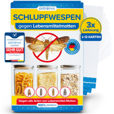 Schlupfwespen gegen Lebensmittelmotten - 3x12 Karten
