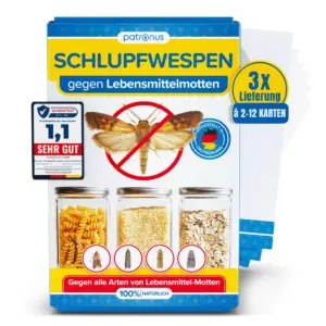 Schlupfwespen gegen Lebensmittelmottenfallen Kartenlieferung