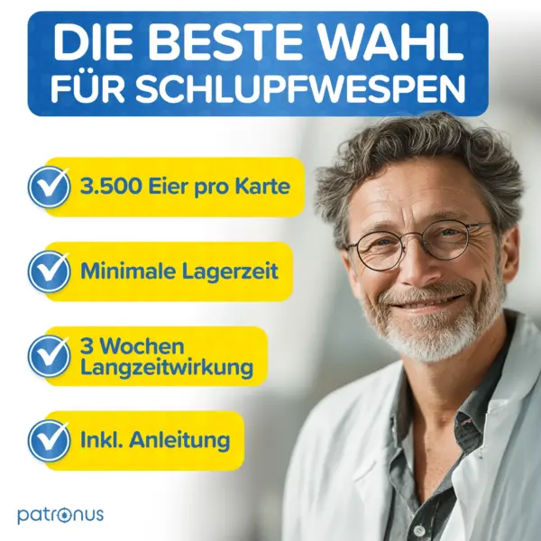 Schlupfwespen sind die beste Wahl gegen Lebensmittelmotten